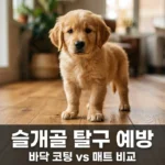 반려견 슬개골 탈구 예방 바닥 가이드: 논슬립 코팅 및 미끄럼 방지 매트 비교 추천