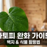 영유아 아토피 완화 벽지 추천 및 식물 플랜테리어 시공 가이드