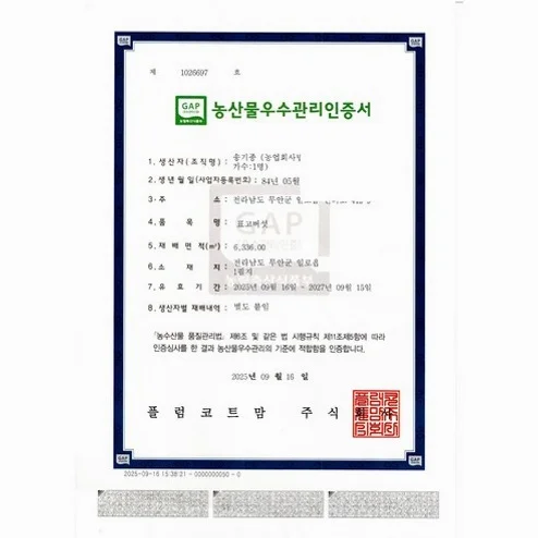 전남무안의 명절선물세트 표고버섯선물세트 추석명절선물세트, 특]건표고버섯 선물..., 1세트