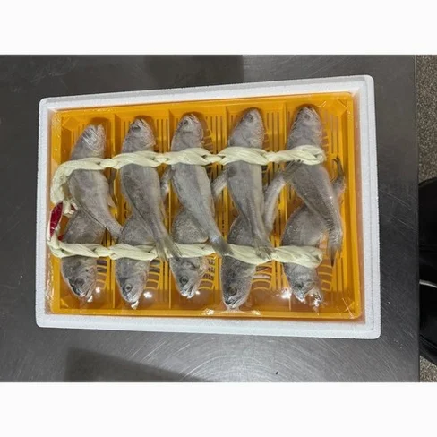 어르신선물 명품선물세트 최상급법성포 영광보리굴비선물세트 추석선물세트 1.0kg내외(19~22cm/10미)명품박스 1박스~1.8kg내외(26~28cm/10미) 명품박스 1박스, 1.3kg내외(20..., 1박스